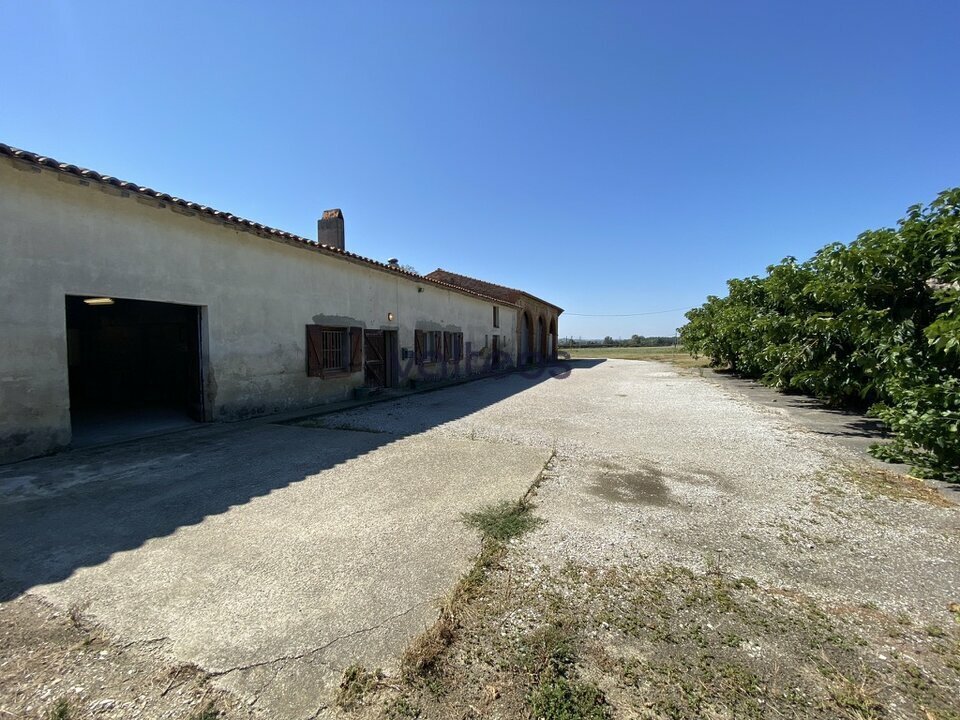 REXIM - Local d'activités - Haute-Garonne - Montgaillard-Lauragais - 3