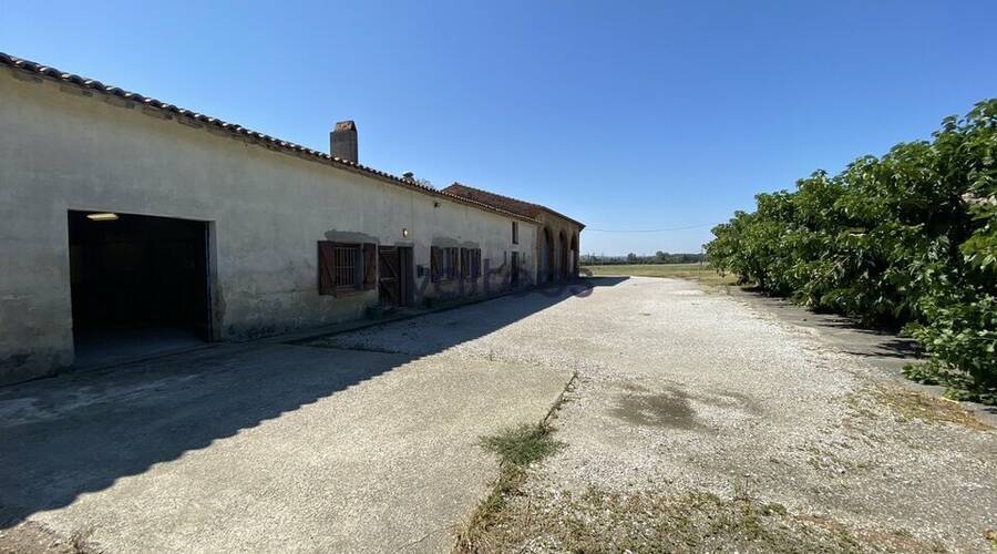 REXIM - Local d'activités - Haute-Garonne - Montgaillard-Lauragais - 3