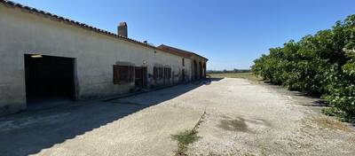 REXIM - Local d'activités - Haute-Garonne - Montgaillard-Lauragais - 3