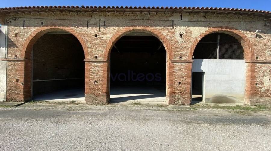 REXIM - Local d'activités - Haute-Garonne - Montgaillard-Lauragais - 4