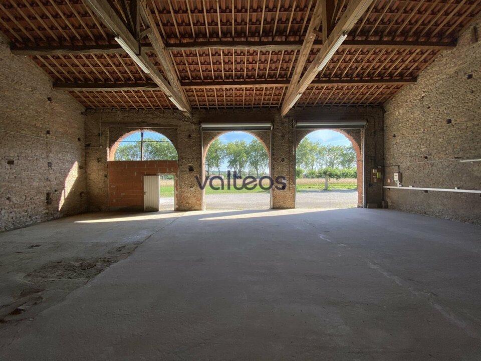 REXIM - Local d'activités - Haute-Garonne - Montgaillard-Lauragais - 5