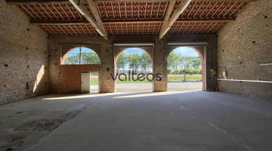 REXIM - Local d'activités - Haute-Garonne - Montgaillard-Lauragais - 5