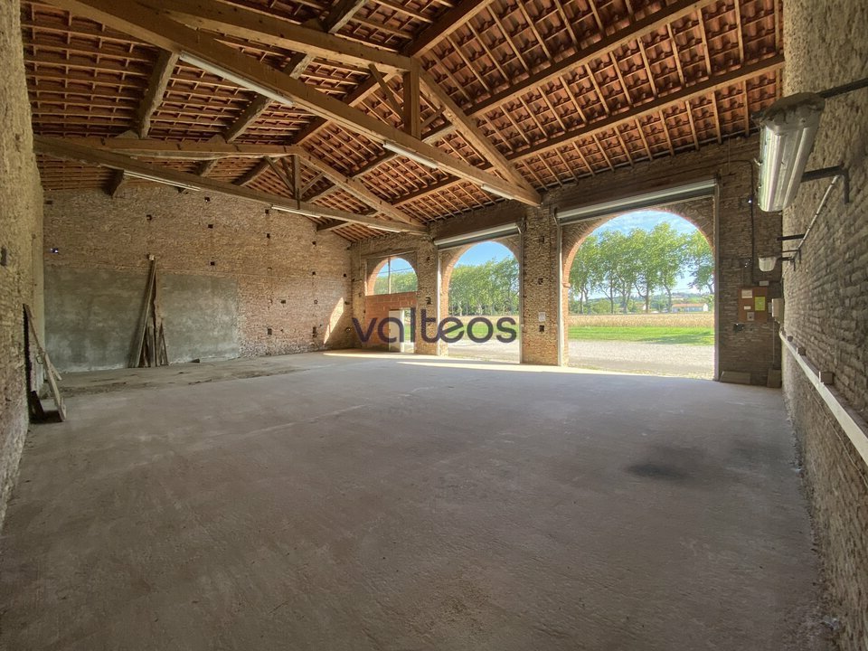 REXIM - Local d'activités - Haute-Garonne - Montgaillard-Lauragais - 6