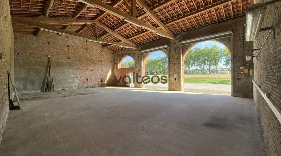 REXIM - Local d'activités - Haute-Garonne - Montgaillard-Lauragais - 6