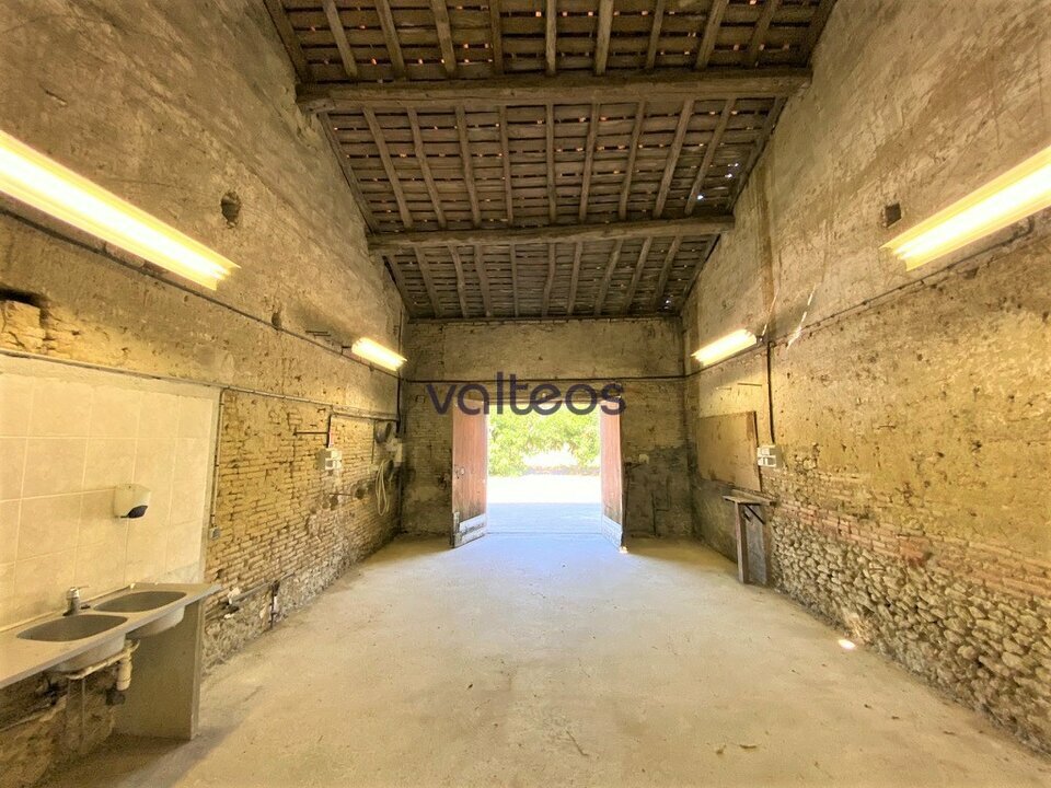 REXIM - Local d'activités - Haute-Garonne - Montgaillard-Lauragais - 7