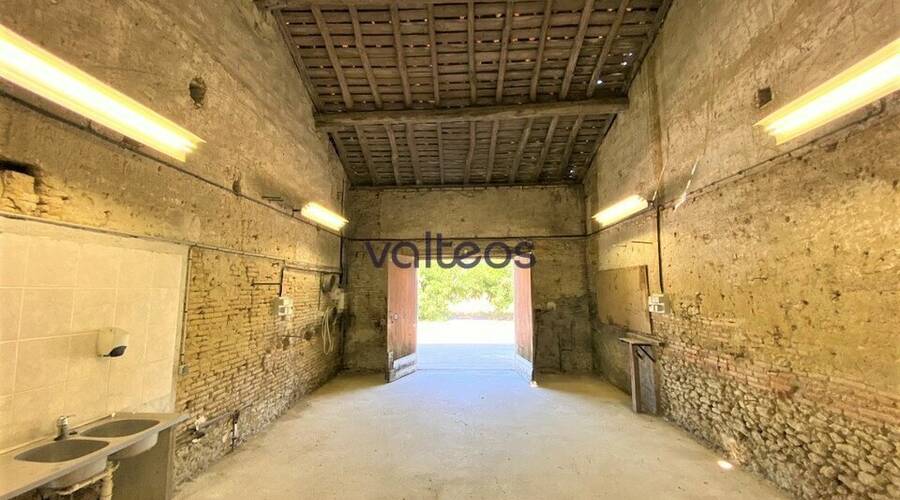 REXIM - Local d'activités - Haute-Garonne - Montgaillard-Lauragais - 7