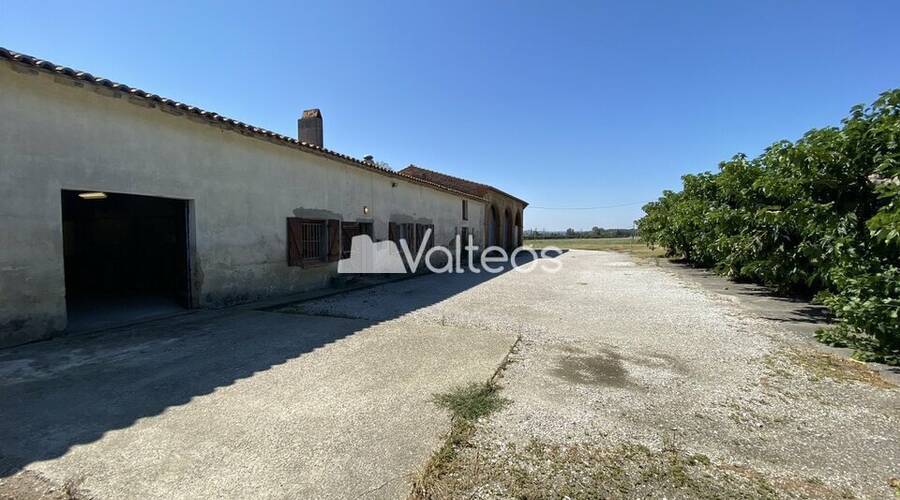 REXIM - Local d'activités - Haute-Garonne - Montgaillard-Lauragais - 3