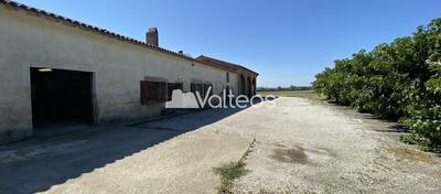 REXIM - Local d'activités - Haute-Garonne - Montgaillard-Lauragais - 3