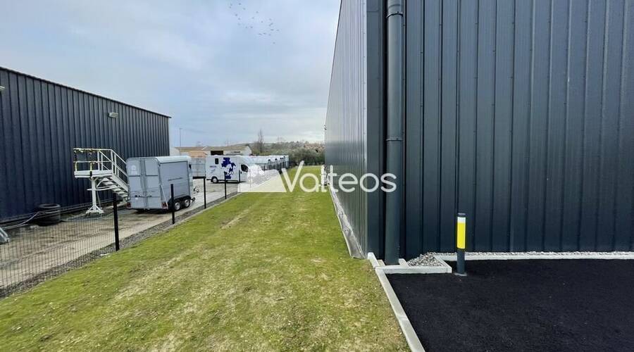 REXIM - Local d'activités - Haute-Garonne - Verfeil - 8