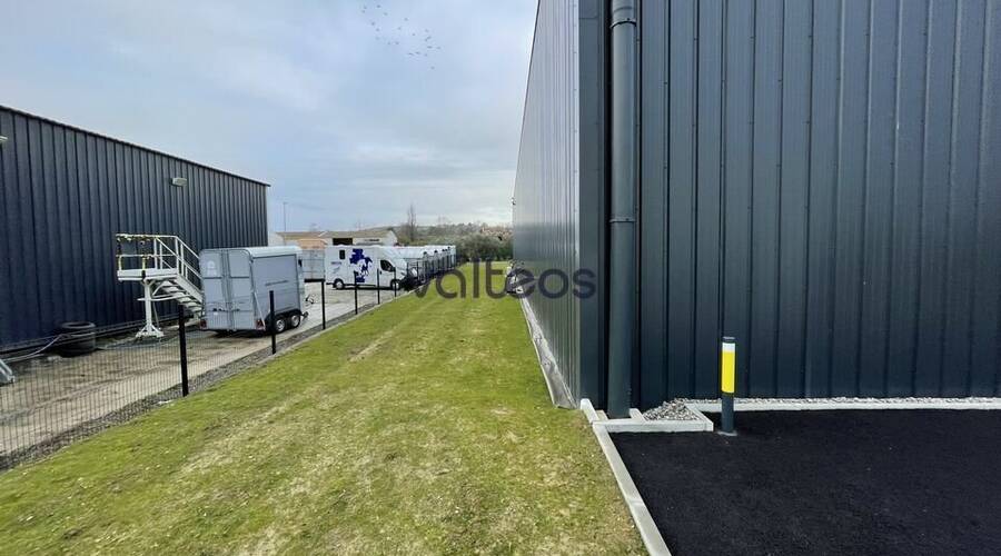 REXIM - Local d'activités - Haute-Garonne - Verfeil - 8