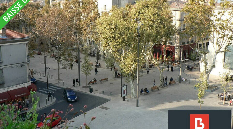 REXIM - Local commercial - Vaucluse - Avignon - 4
