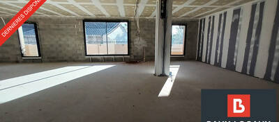 REXIM - Local d'activités - Bouches-du-Rhône - Châteaurenard - 5