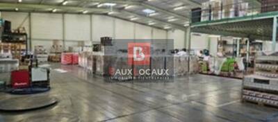 REXIM - Entrepôt - Bouches-du-Rhône - Cabannes - 6