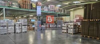 REXIM - Entrepôt - Bouches-du-Rhône - Cabannes - 7