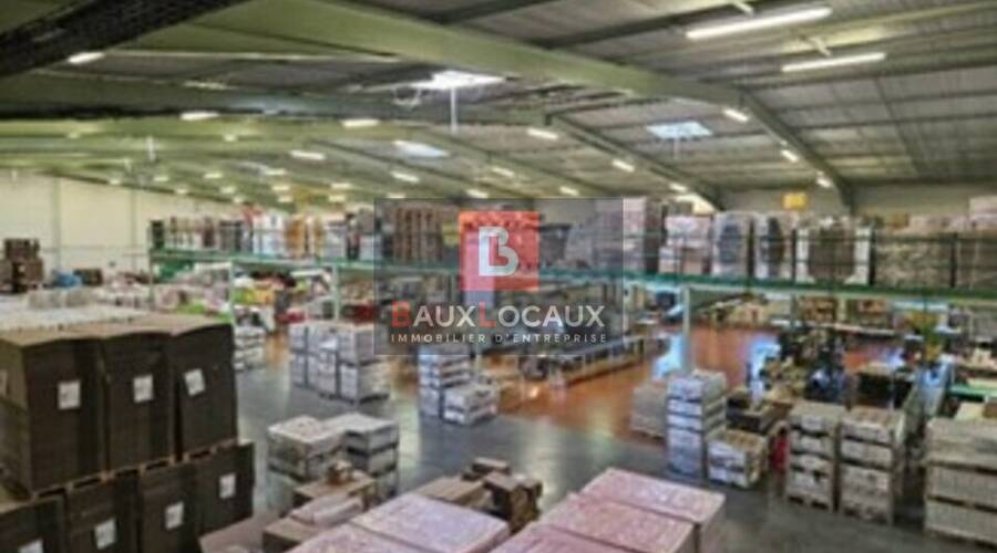 REXIM - Entrepôt - Bouches-du-Rhône - Cabannes - 9