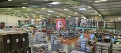 REXIM - Entrepôt - Bouches-du-Rhône - Cabannes - 9