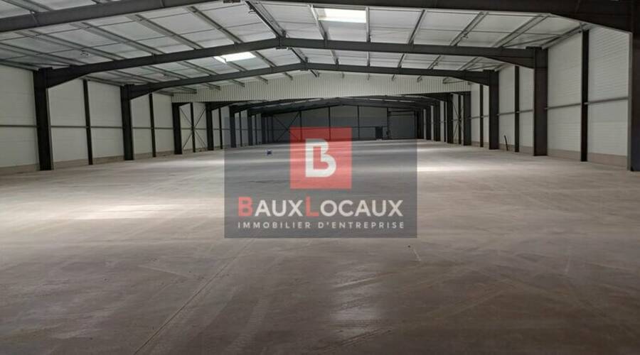 REXIM - Entrepôt - Gard - Nîmes - 4