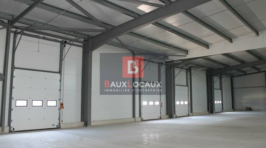 REXIM - Entrepôt - Gard - Beaucaire - 1