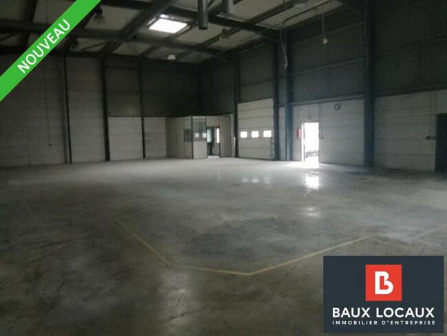 REXIM - Local d'activités - Bouches-du-Rhône - Saint-Martin-de-Crau - 1