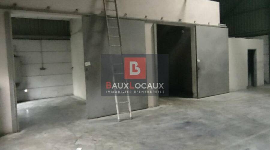 REXIM - Local d'activités - Bouches-du-Rhône - Saint-Martin-de-Crau - 4