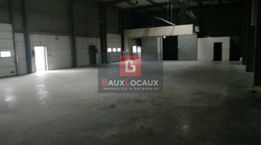 REXIM - Local d'activités - Bouches-du-Rhône - Saint-Martin-de-Crau - 3