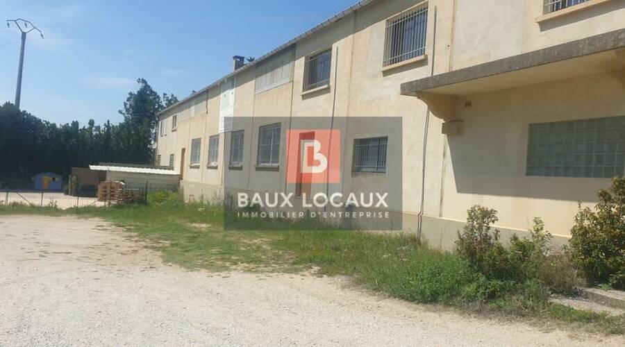 REXIM - Local d'activités - Vaucluse - Carpentras - 2