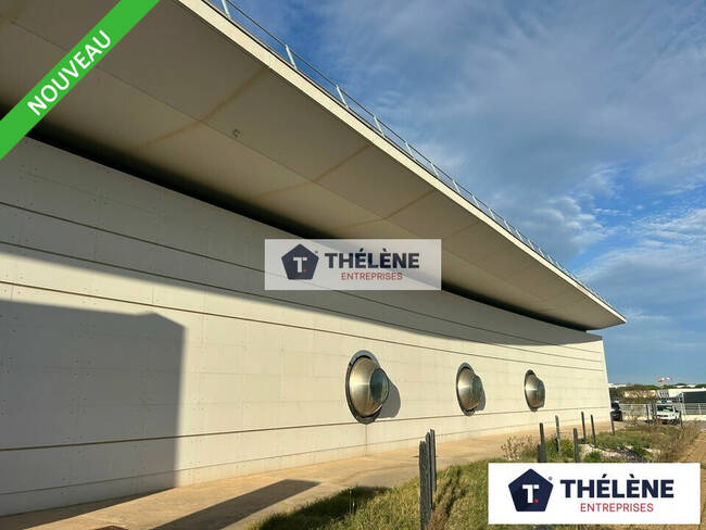 REXIM - Local d'activités - Hérault - Montpellier - 1