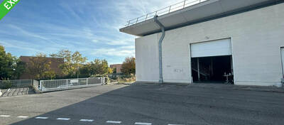 REXIM - Local d'activités - Hérault - Montpellier - 4