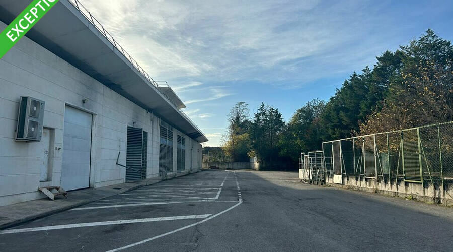REXIM - Local d'activités - Hérault - Montpellier - 5