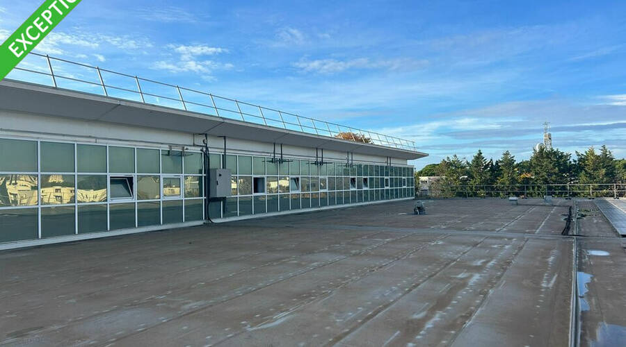 REXIM - Local d'activités - Hérault - Montpellier - 6