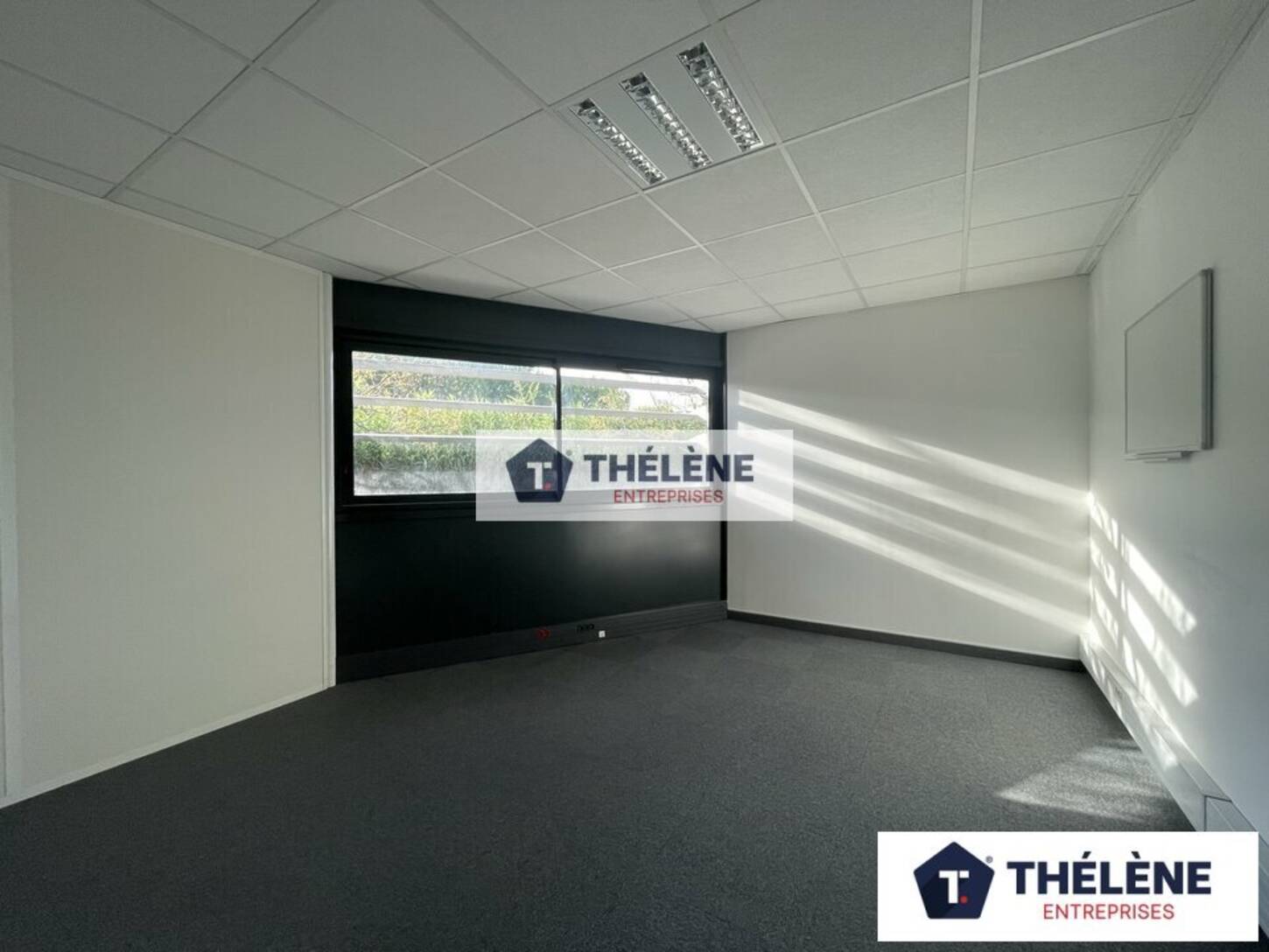 REXIM - Bureau - Hérault - Montpellier - 2