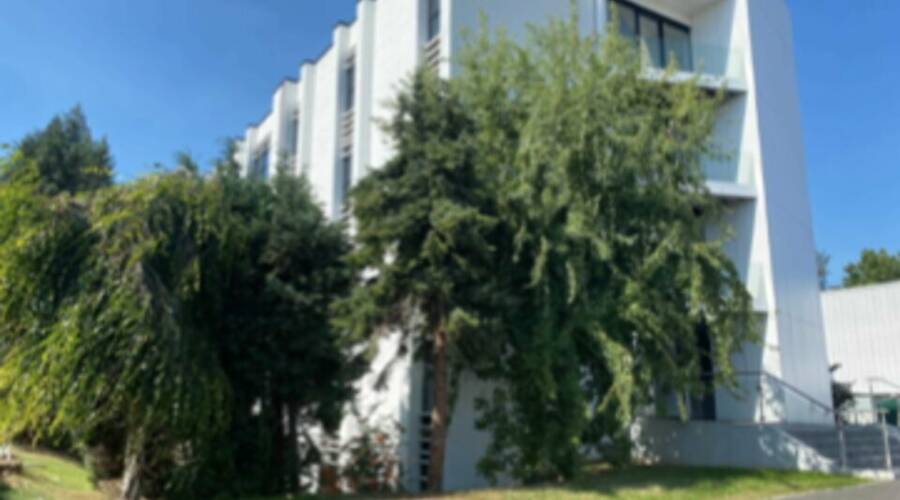 REXIM - Bureau - Nord - Lezennes - 10