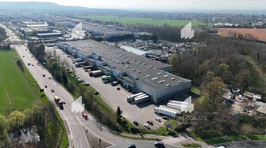 REXIM - Entrepôt - Val-d'Oise - Herblay - 3