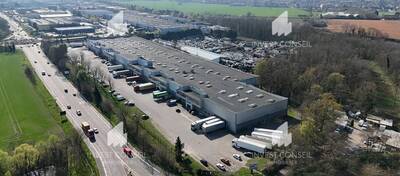 REXIM - Entrepôt - Val-d'Oise - Herblay - 3