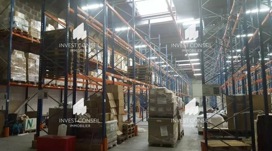 REXIM - Entrepôt - Val-d'Oise - Herblay - 5