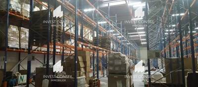 REXIM - Entrepôt - Val-d'Oise - Herblay - 5