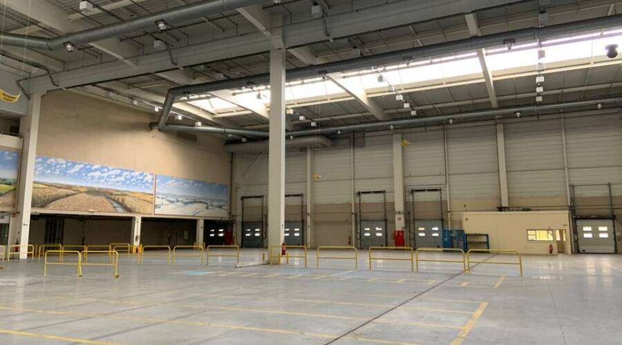 REXIM - Local d'activités - Yvelines - Élancourt - 4
