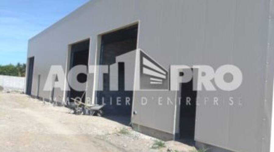 REXIM - Entrepôt - Pyrénées-Orientales - Perpignan - 2