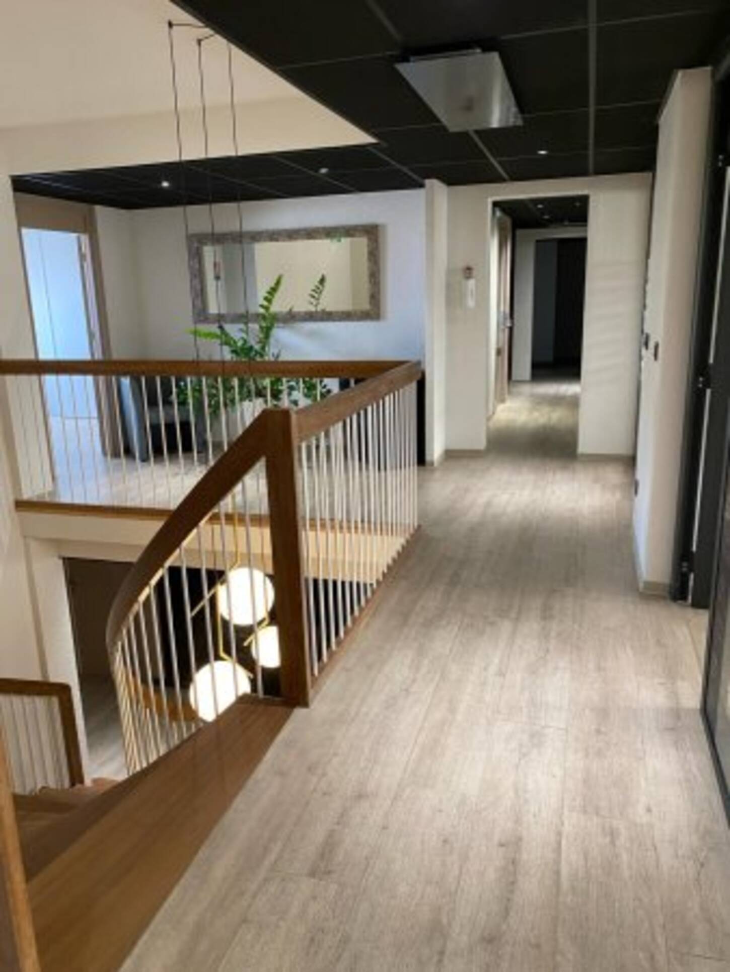 REXIM - Bureau - Pyrénées-Orientales - Perpignan - 2