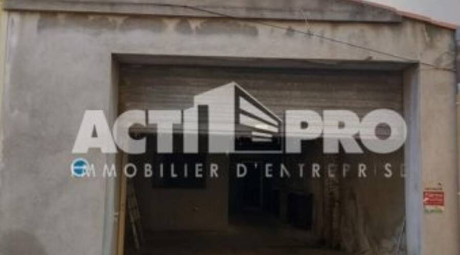 REXIM - Local d'activités - Pyrénées-Orientales - Perpignan - 3