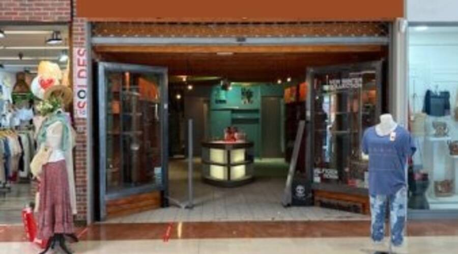 REXIM - Local d'activités - Pyrénées-Orientales - Perpignan - 4