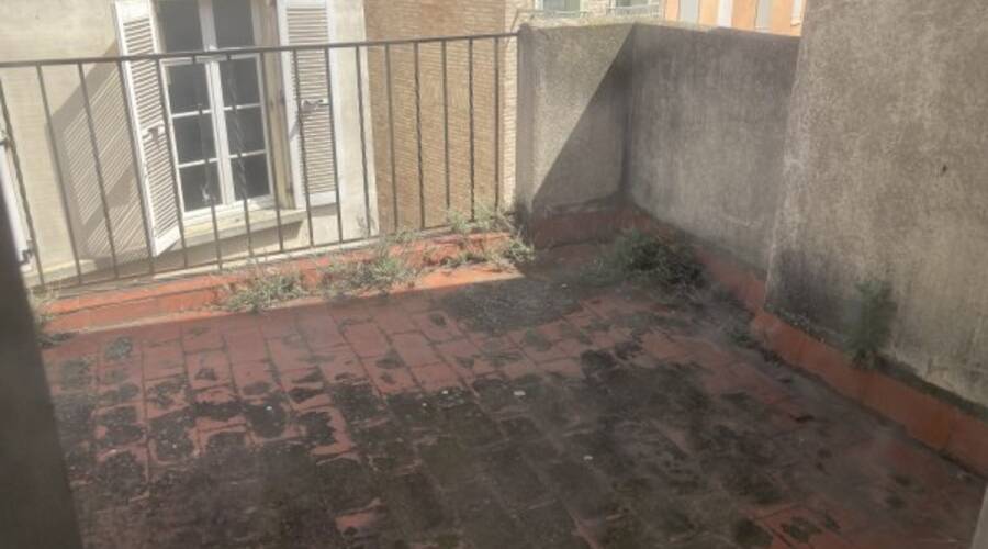 REXIM - Local d'activités - Pyrénées-Orientales - Perpignan - 4