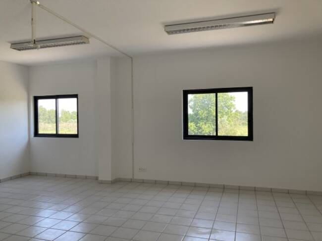 REXIM - Bureau - Pyrénées-Orientales - Saint-Cyprien - 1