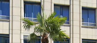 REXIM - Bureau - Loire-Atlantique - Saint-Nazaire - 1