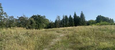 REXIM - Terrain - Allier - Cusset - 1