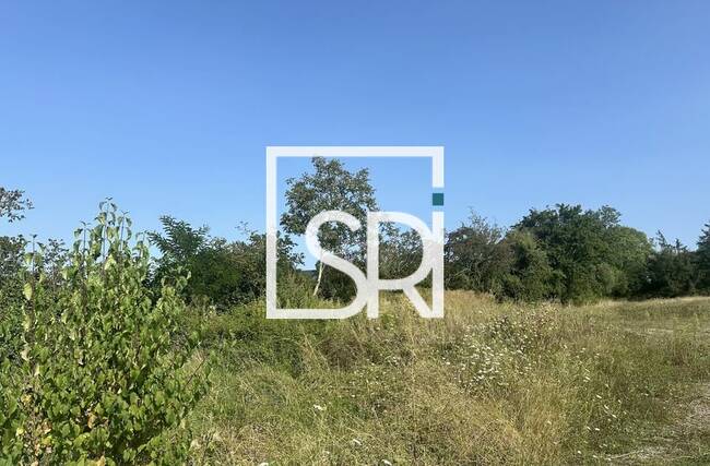 REXIM - Terrain - Allier - Cusset - 1