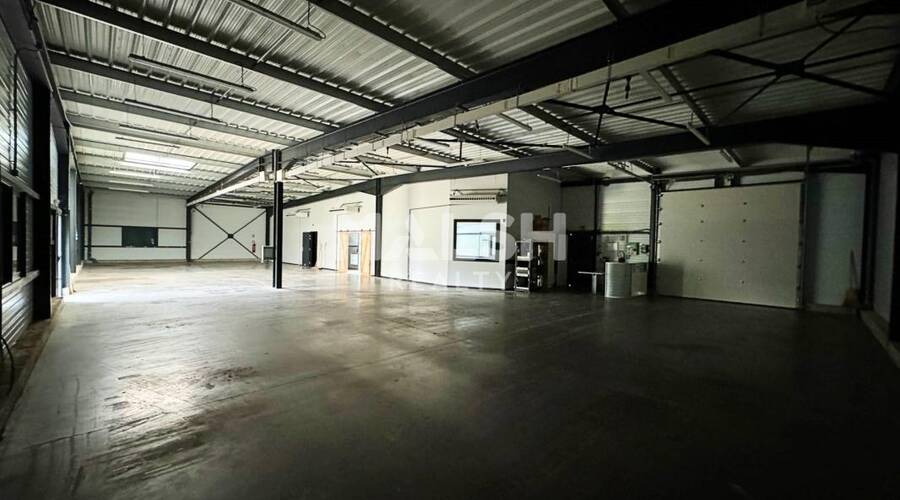 REXIM - Local d'activités - Loire - Saint-Héand - 2