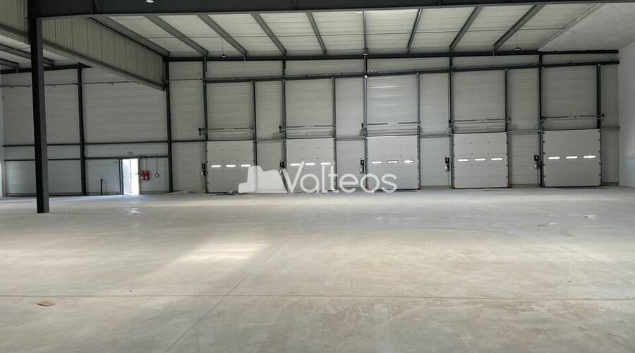 REXIM - Local d'activités - Haute-Garonne - Toulouse - 5