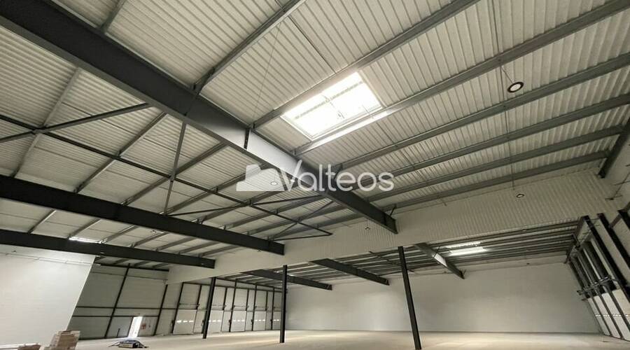 REXIM - Local d'activités - Haute-Garonne - Toulouse - 10