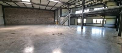 REXIM - Local d'activités - Haute-Garonne - Pibrac - 5